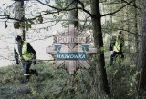 Funkcjonariusze służb mundurowych podczas poszukiwań osoby w lesie. Na zdjęciu widoczna jest też gwiazda policyjna z napisem Hajnówka.