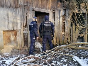 Zdjęcie przedstawia policjantów zaglądających przez drzwi do opuszczonego drewnianego budynku.