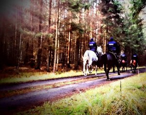 Policjanci na koniach