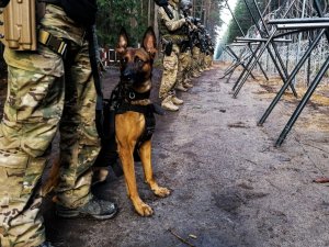 Kontrterroryści wraz z psem służbowym stoją przy ogrodzeniu na granicy państwa.
