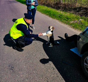 Na zdjęciu widać jak jeden z policjantów naprawia samochód, drugi go asekuruje. Na fotografii widoczny jest też pies właścicielki zepsutego auta.